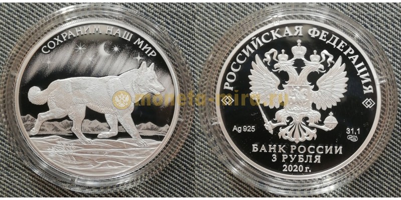 3 рубля 2020 г. Полярный волк - сохраним наш мир, серебро 925 пр.