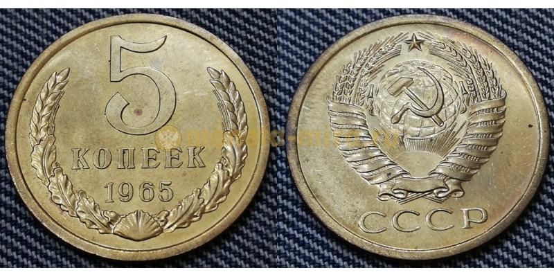 Монета 5 копеек СССР 1965 года №2