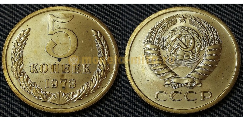 Монета 5 копеек СССР 1973 года №2