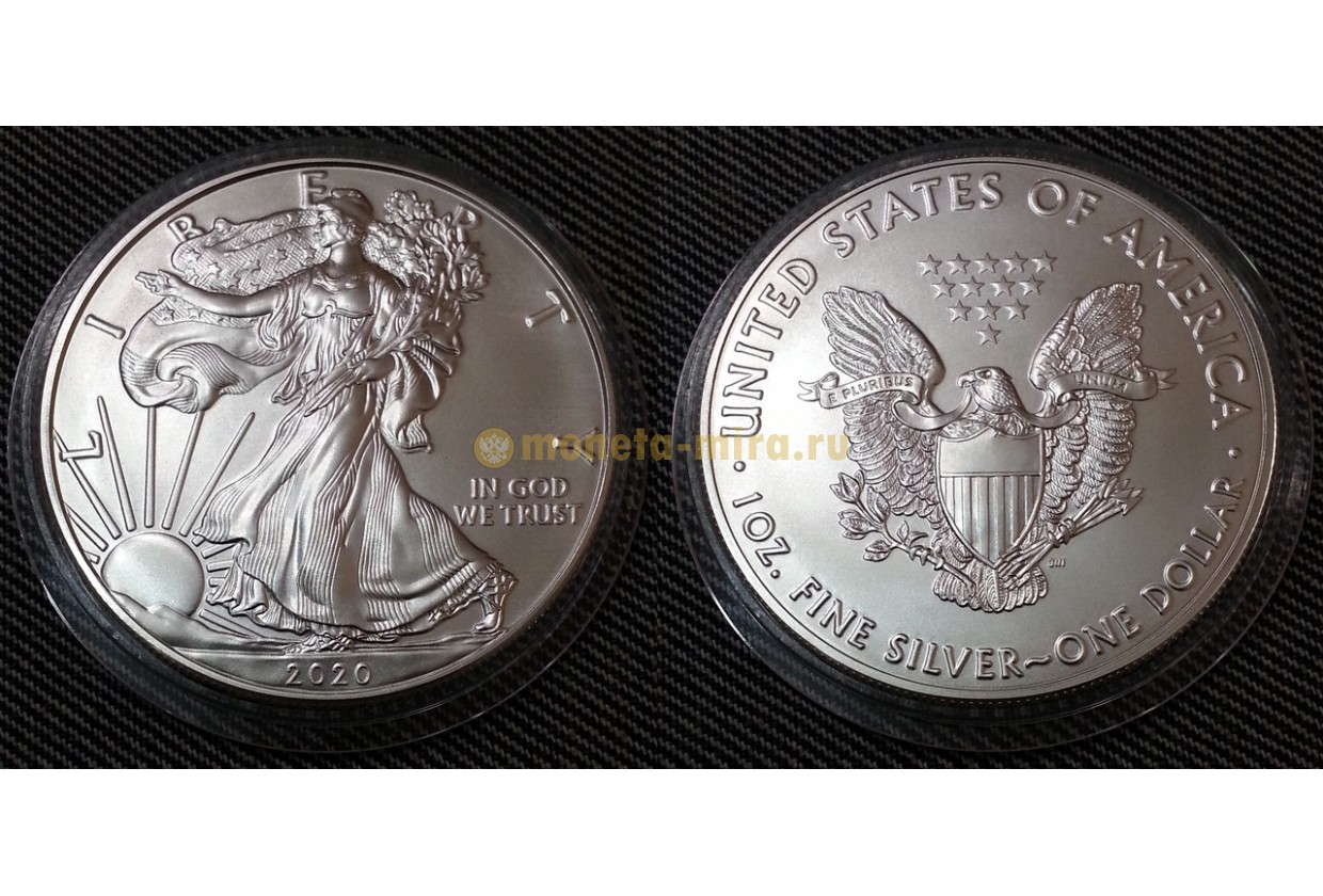 1 доллар монета серебро. Монета 1 доллар США. США 1 доллар 2020 шагающая Свобода. Шагающая Свобода 1 доллар США серебро. Американские серебряные монеты.