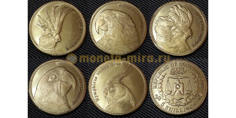 Набор из 5 монет Сомалиленда 5 шилингов 2020 г. Попугаи