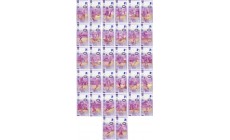 Набор официальных банкнот 0 евро к ЧМ 2022 в Катаре - 32 штуки