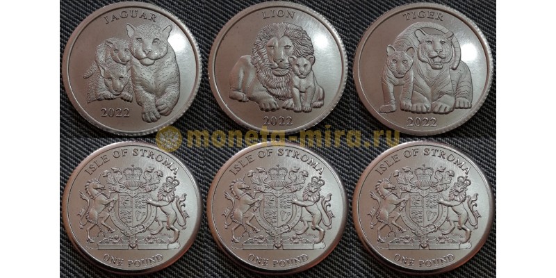 Набор из 3 монетовидных жетонов 1 фунт 2022 г. Остров Строма, фауна Кошки - Лев, Ягуар, Тигр