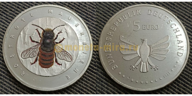 5 евро Германии 2023 г. Пчела рыжая осмия, Мир насекомых