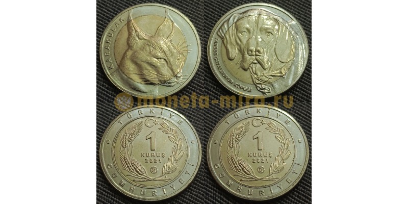 Набор из 2-х монет Турции 1 куруш 2021 г. Рысь и собака (Каракал и Каталбурун) - Фауна Турции