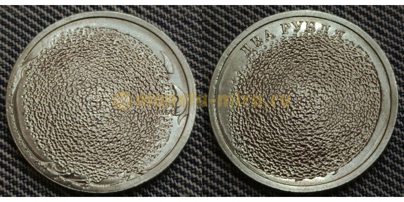 2 рубля 2009 г. СПМД - брак гашеная монета (гашенка), пескоструйное гашение
