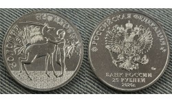25 рублей 2026 г. Золотая антилопа - в обычном исполнении