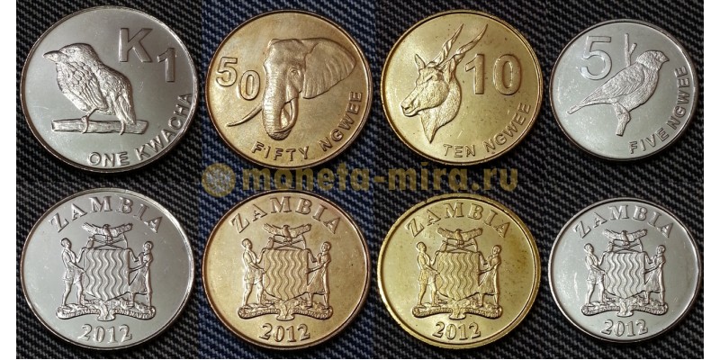 Набор из 4 монет Замбии 2012 г. 5,10,50 нгве и 1 квача