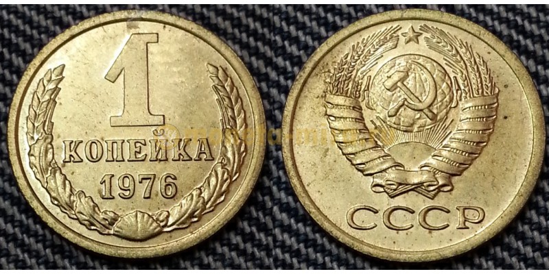 1 копейка СССР 1976 г.