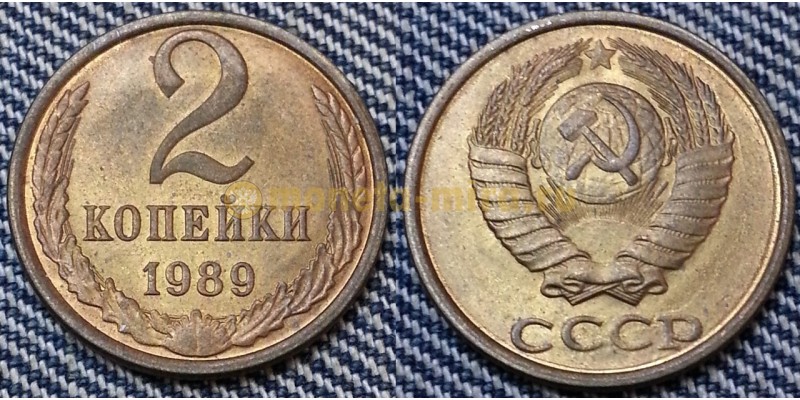 2 копейки СССР 1989 г.